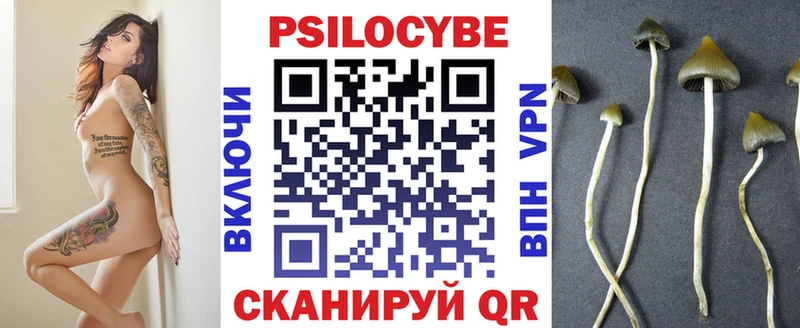 Псилоцибиновые грибы Cubensis Белокуриха
