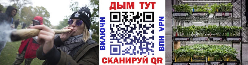 Каннабис сатива  что такое   Белокуриха 